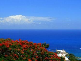 Ocean From Paradise Point Wallpaper HD