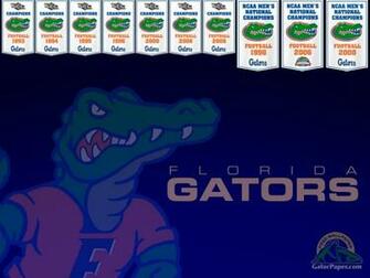 Gator Wallpaper Florida