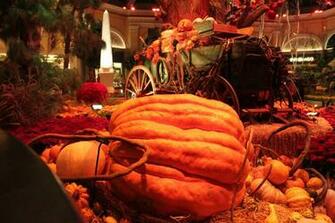3d Thanksgiving Wallpaper