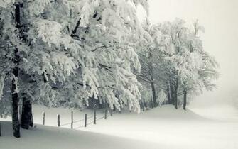 Blizzard Winter HD Wallpaper