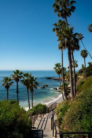 Local S Picks For Best Orange County Beaches Bobo And Chichi