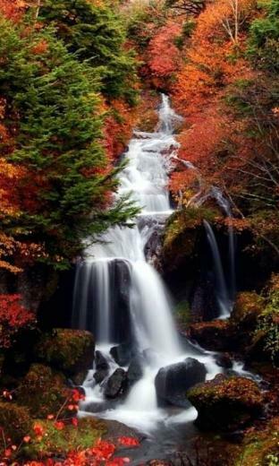 Screensaver Mobile Live Waterfall HD Wallpaper X