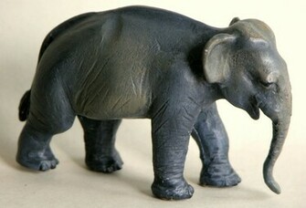 Indian Elephant Pictures HD Wallpaper In Animals Imageci