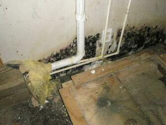 Bad Mold Mildew Problem Under Kitchen Sink Cabinet Peoria Illinois