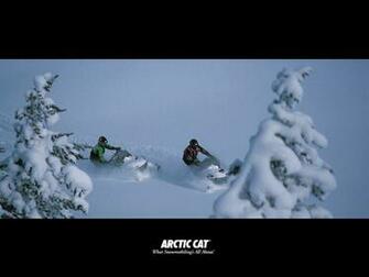 My Top Collection Arctic Cat Wallpaper