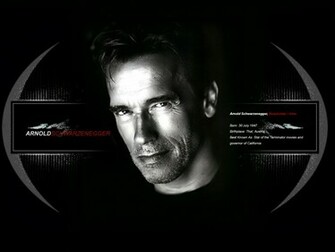 Hollywood Gallery Arnold Schwarzenegger Wallpaper
