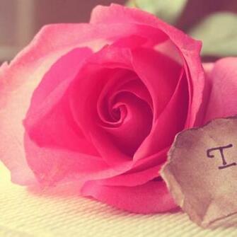 Love iPad Wallpaper My HD