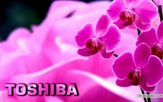Wp Content Uploads Toshiba Laptop Wallpaper Jpg