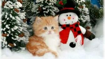 Christmas Kitty Wallpaper