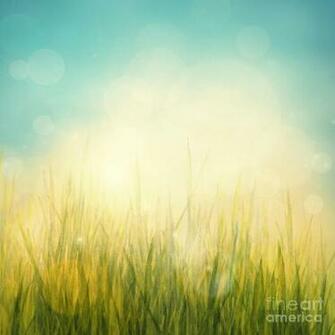 Spring Or Summer Abstract Season Nature Background By Mythja