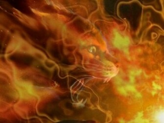 Warrior Cats Background