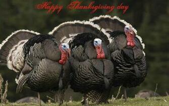 Happy Thanksgiving Wallpaper Hq Desktop