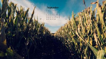 September Calendar Wallpaper Best Desktop Phone Background