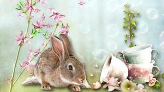 Spring Bunny Wallpaper