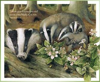 Lang Feb Wallpaper Marjolein Bastin Art