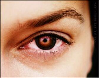 Picturespool Beautiful Eyes Wallpaper