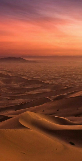 Elena White On Desert Wallpaper