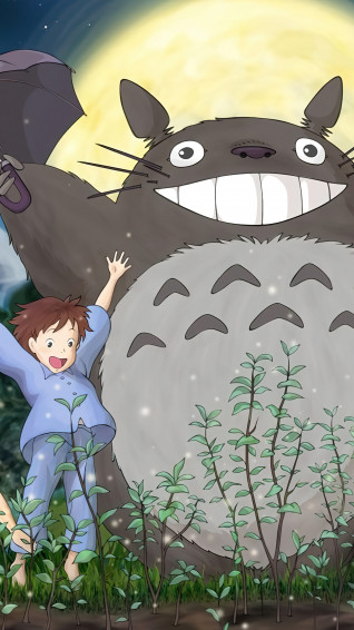 My Neighbor Totoro Characters Anime 4k Wallpaper iPhone HD Phone
