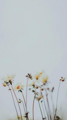 Take A Chill Pill With Mindful iPhone Wallpaper Preppy