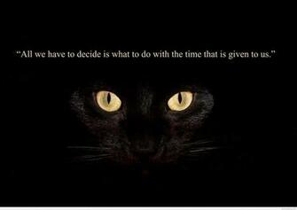 Strong Wise Wisdom Quotes Image Wallpaper HD