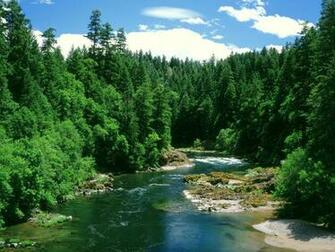Beautiful River Wallpaper Which Is Under The