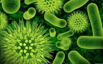 Cellular Virus Wallpaper Nosoclean