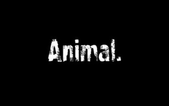 Bodybuilding Quotes Animalwallpaper Sandwich Animal Pak