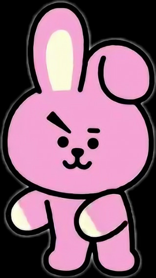 Cooky Bt21 Wallpaper
