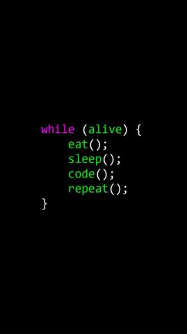 This Wallpaper Has A Redundant Repeat R Programmerhumor