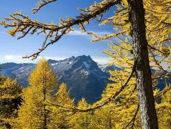 Central Cascade Mountains Glacier Peak Wilderness Washington Wallpaper