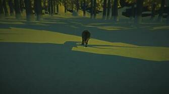 Wolves Are Your Worse Enemy Outside
