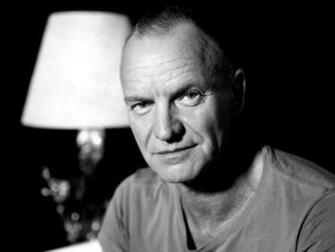 Wallpaper Sting Gordon Matthew Thomas Sumner Musician Portrait