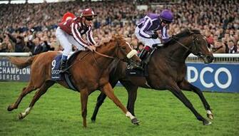 Go Back Image For Secretariat Horse Race