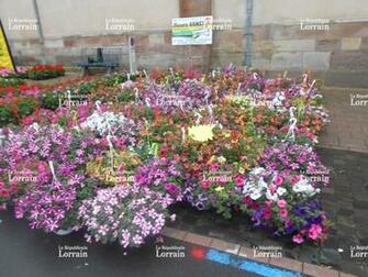 Vos V Nements En Image March Aux Fleurs Organis Par Le