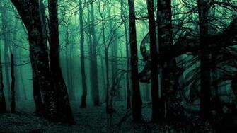 HD Dark Woods Bacgrounds Net