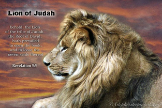 Lion Of Judah Wallpaper