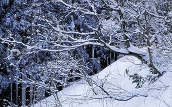 Winter Wonderland Desktop
