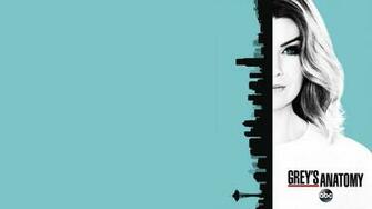 Grey S Anatomy Wallpaper X Net