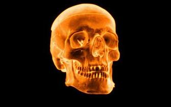 Fire Skull Wallpaper