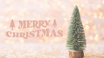 Simple Aesthetic Cute Christmas Small Tree