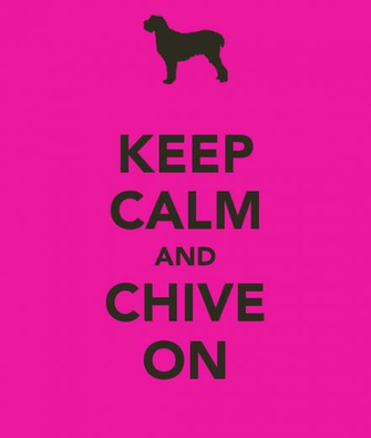 Keep Calm And Chive On Carry Image Generator