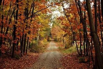 Wallpaper Photo Autumn Html