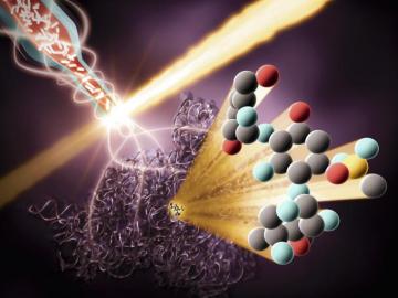 An Introduction To Ribosomes Nature S Busiest Molecular Machines
