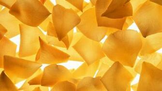 Close Up Yellow Flower Petals Background Wallpaper