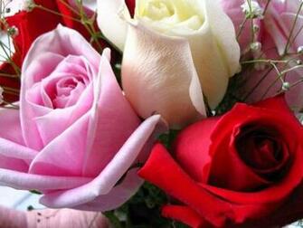 Nice Love Image
