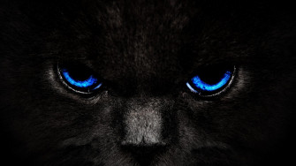 Black Wallpaper HD