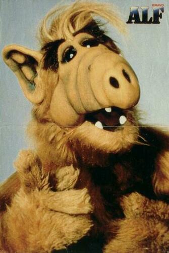 Alf Wallpaper
