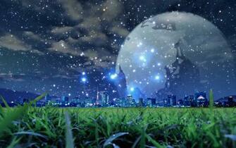 Grass Night Scene Wallpaper
