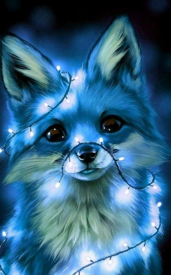 Cute Animal Anime Wallpaper