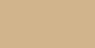 Resolution Tan Solid Color Background And